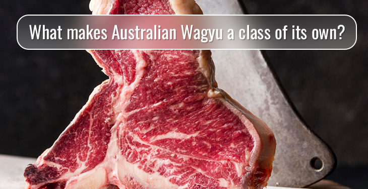 The Exquisite World of Wagyu Beef: Unveiling Australia's Top Suppliers and the Secret Olive Wagyu Exporter